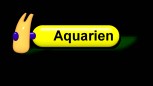 Aquarien